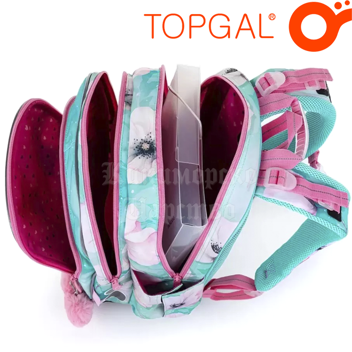 * 2022 Topgal Chilli    ENDY 22053-1